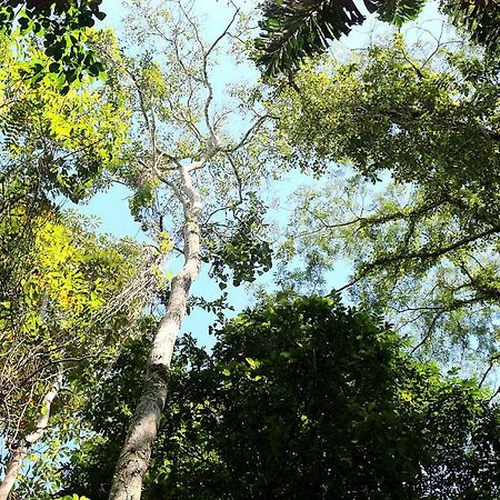 Misahualli Amazon Lodge Tena Exteriör bild