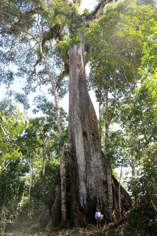Misahualli Amazon Lodge Tena Exteriör bild